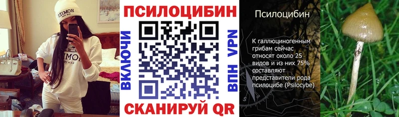 Купить где  Кораблино  Галлюциногенные грибы ЛСД 